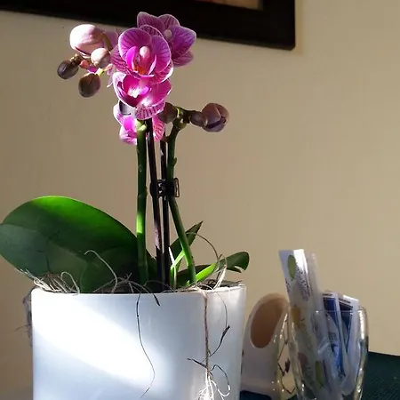 Bed & Breakfast Politeama Square Palermo