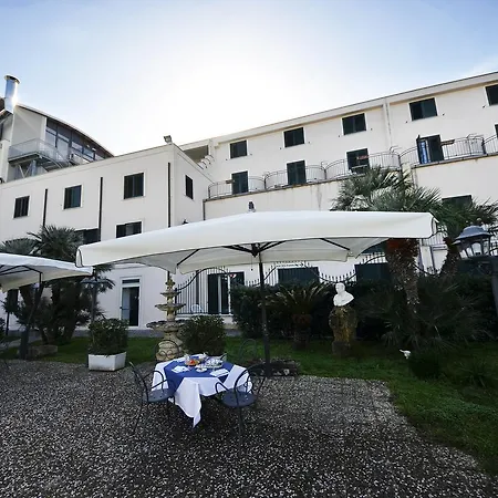 D'amato