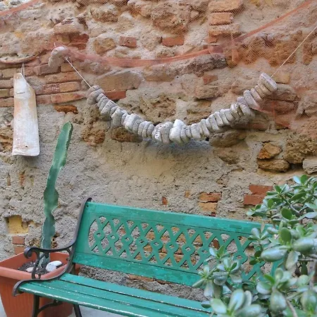 Nassaiuoli * Palermo