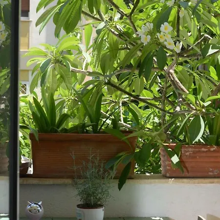 Penelope Séjour chez l'habitant