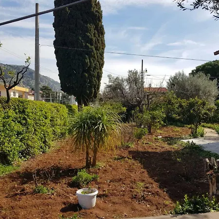 Serrano * Palermo