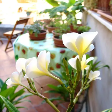 La Casa Di Marzapane Couette-café 2*